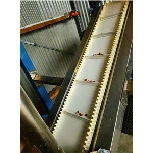 Nut Processing Unit Conveyor